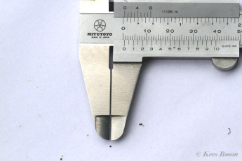 01145-Heidewortelboorder-Phymatopus-hecta